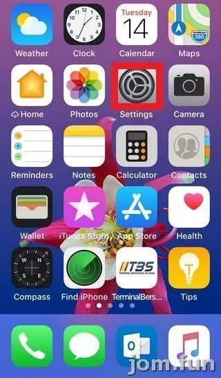 iPhone home screen with the Settings gear icon outlined in red