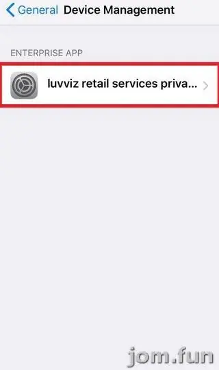Device Management screen listing one Enterprise App, luvviz retail services priva..., outlined in red