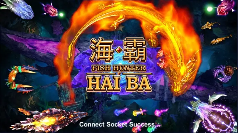 Fish Hunter Hai Ba loading screen with a gold dragon logo, Chinese title and the words Connect Socket Success at the bottom