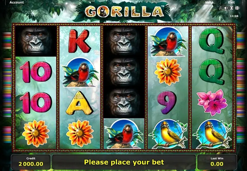 Star996 Gorilla slot with gorillas, tropical birds, flowers and card symbols, a Please place your bet message and credit of 2,000.00
