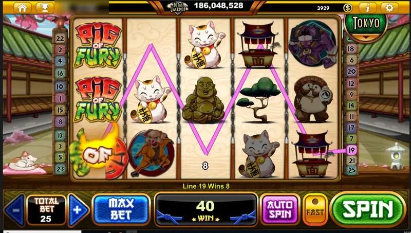 Two Pig of Fury logos and an OF burst on reel one, a pig in an orange gi, lucky cats and a bronze Buddha, a pink line paying 8 on line 19 for a total of 40