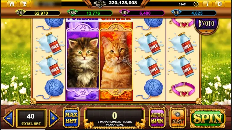 Pop Kitten idle screen with two tall kitten reels, yarn and collar symbols, and jackpot bars above the reels