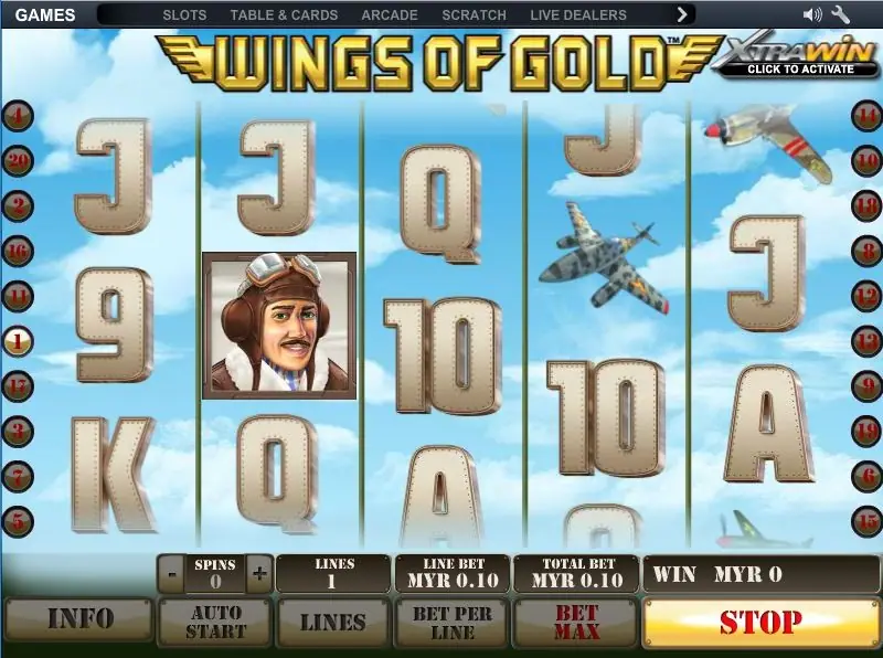 A pilot in a leather flying helmet on reel 2 of the Wings of Gold reels